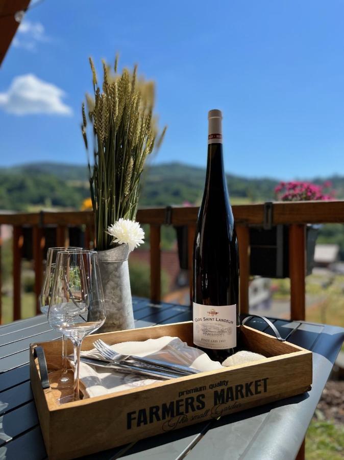 Le Chalet De Cathy Soultzeren エクステリア 写真