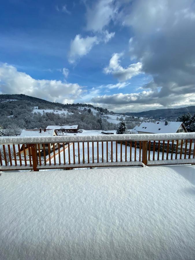 Le Chalet De Cathy Soultzeren エクステリア 写真