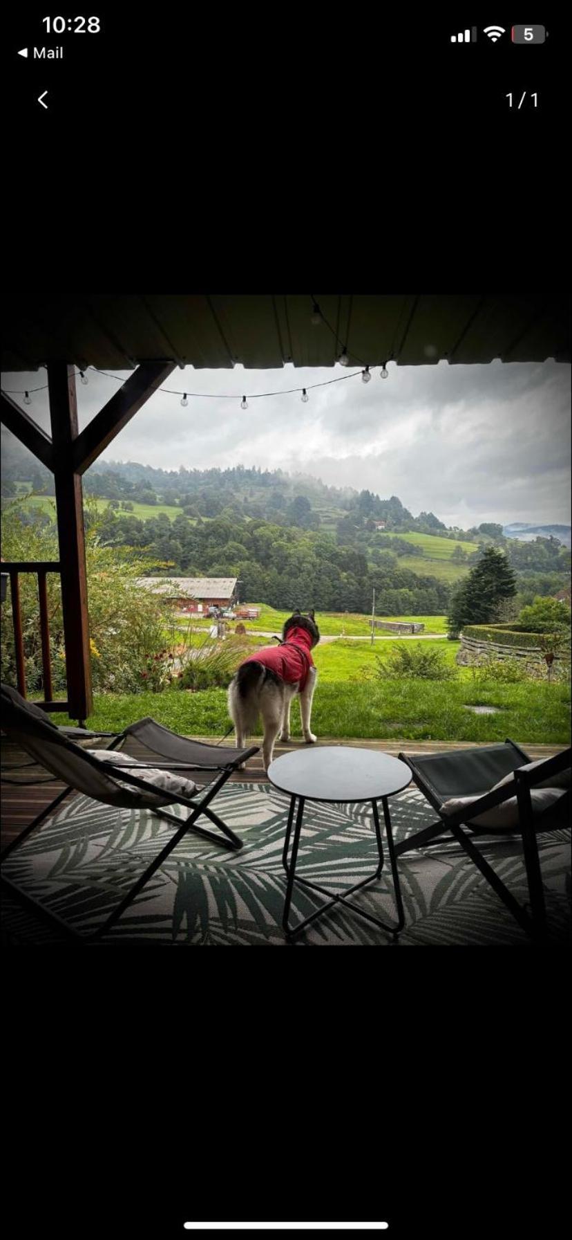 Le Chalet De Cathy Soultzeren エクステリア 写真